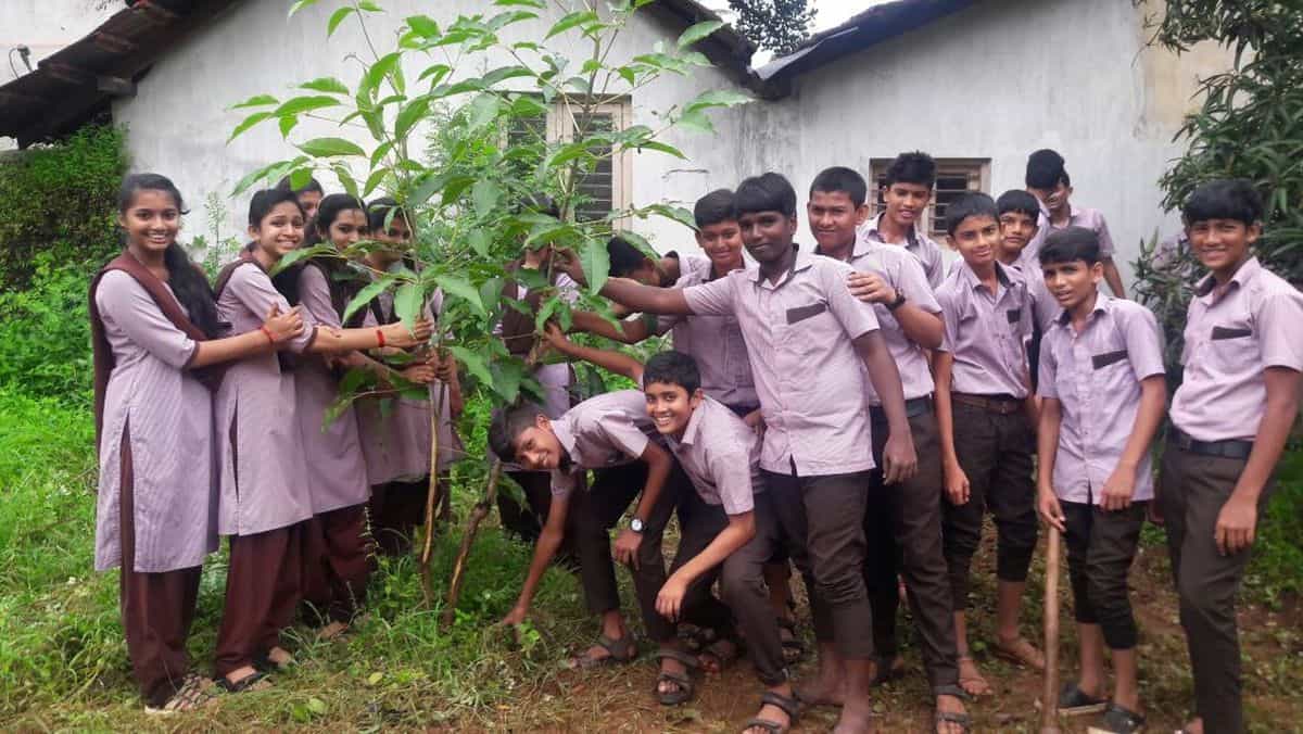 ವನಮಹೋತ್ವವ