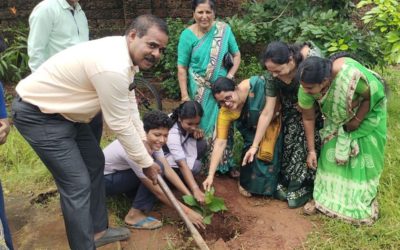 Vanamahothsava at BEM School